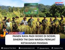 Panen Raya Padi Gogo di Sosiri, Sinergi TNI dan Warga Perkuat Ketahanan Pangan
