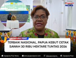 Terbaik Nasional, Papua Kebut Cetak Sawah 30 Ribu Hektare Tuntas 2026